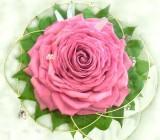 Гламелия №3. Роза. Женственный букетик из нежных роз.
