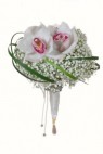 Букет невесты №78. Орхидеи, Гипсофила. Изысканный букет из белых орхидей.