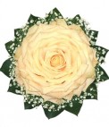 Гламелия. Роза. Уникальный свадебный букет – роскошная «роза», составленная из лепестков 35 светлых роз в технике «Гламелия»