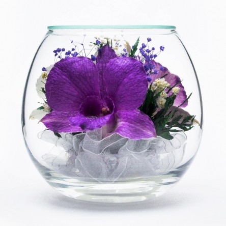 Композиция в вакууме из живых цветов . Орхидеи . Уникальная технология заключается в вакуумной колбе, в которой находятсянатуральные цветы, не увядающие в течение 5 лет.