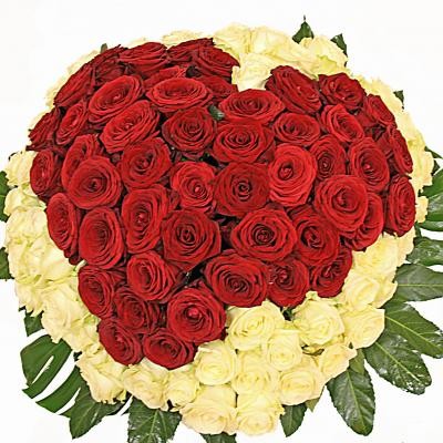 Сердце из 101 розы. Розы. Изысканная композиция из  роз,выполненная в форме сердца.